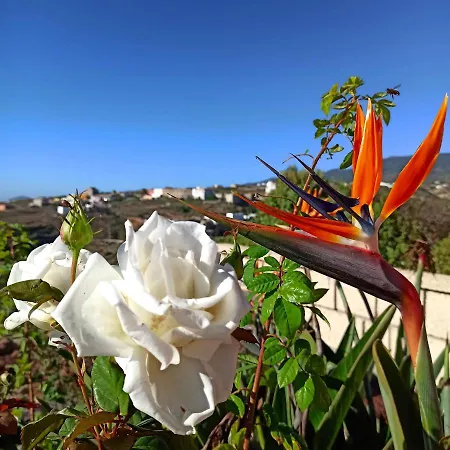 Apartamento Aurora Quiet Flat With Pool And Great Mountain And Sea Views *