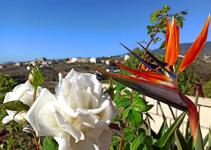 Apartament Aurora Quiet Flat With Pool And Great Mountain And Sea Views *