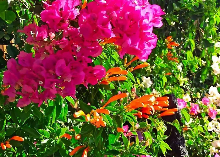 Apartament Aurora Quiet Flat With Pool And Great Mountain And Sea Views