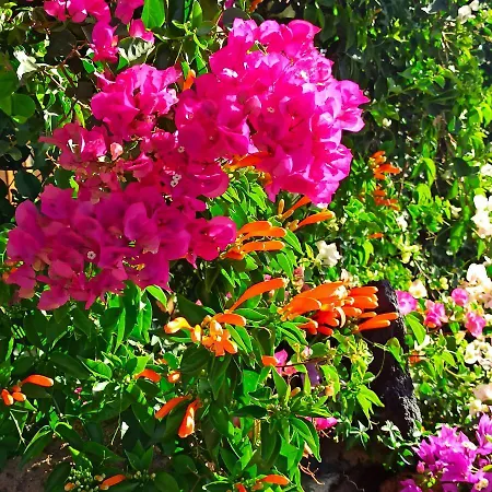 דירה Aurora Quiet Flat With Pool And Great Mountain And Sea Views